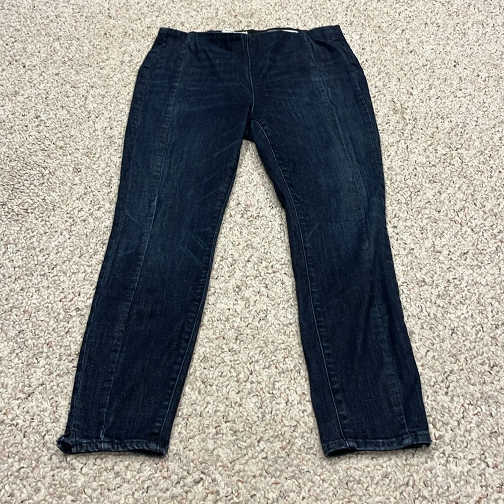 Anthropologie Pilcro and the Letterpress High Rise Denim Leggings Pull On Sz 32